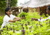 Six Senses Destination Spa Phuket 